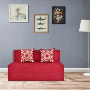 Sofa Cum Bed for 2 Person