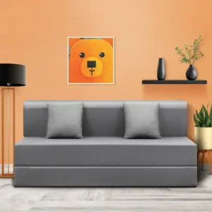 EkraMeFurniture Sleepyhead Napster Sofa Cum Bed