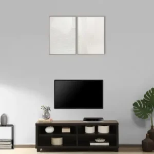 TV Entertainment Unit