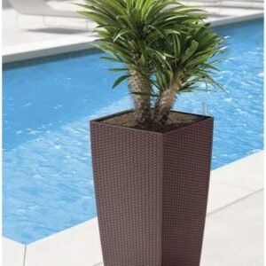 Outdoor Pots-6