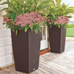 Outdoor Pots-2